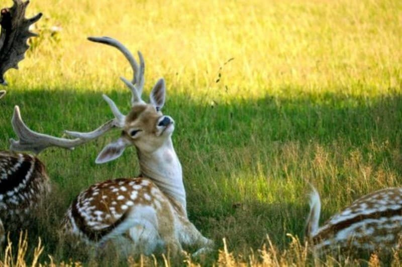 Wellness paket - Ustaviva se / 2 osebi / 2 dni